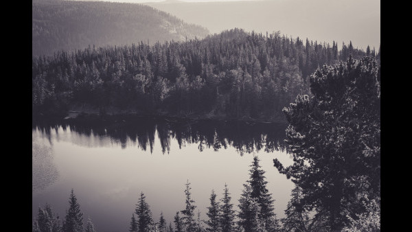 QA TEST 20211116 文章標題 中環石板街酒店聯乘美妝品牌推出素食下午茶　歎松露朱古力／腰果馬卡龍／無花果配水牛芝士／法式牛肝菌蛋批