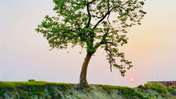 8年情侶移英情不敵現實釀分手 女友常放負：不想再在英國浪費青春