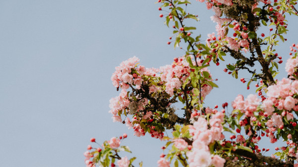 Test UT Jetso Calendar