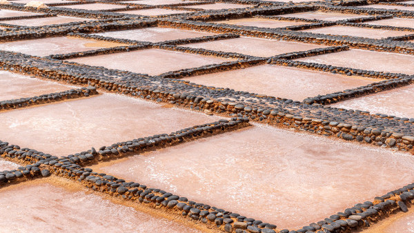 Test UT 作者+活動資訊