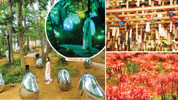 【日本出埠計劃】東京近郊避世遊 探訪埼玉縣大自然隱世景點好去處