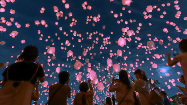 日本櫻花2023 |限定3日新宿「花見燈夜2023」日本放天燈！櫻花天燈幻變粉紅星海 