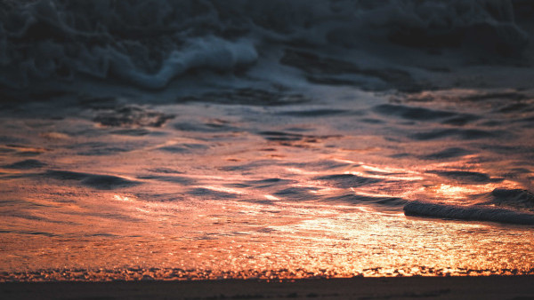 Test Create New Article with Multiple Authors