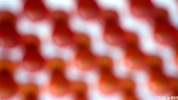 12星座男的【戀愛腦】指數！看看誰最高？