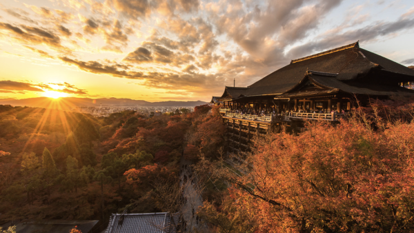 test url title｜【京都自由行懶人包】20大觀光景點、活動/住宿/交通/美食/實用指南一覽