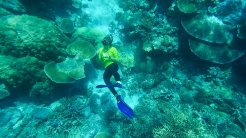 開恩茲 3 式水動樂 大堡礁Silverswift Cruise初試潛水