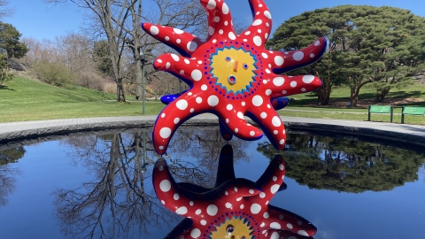 草間彌生作品展 4月紐約開鑼