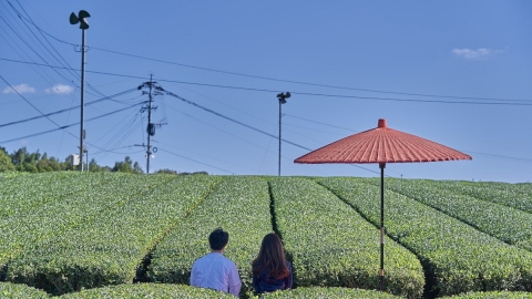 福岡 70 公頃茶園 panorama 露台做瑜伽歎茶