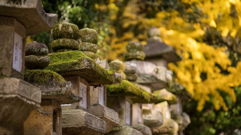 隈研吾設計 奈良最新溫泉酒店