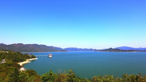 5條大埔區簡易行山路線推介 最快1小時完成！烏蛟騰郊遊徑/大美督/馬屎洲/大埔滘/八仙嶺自然教育徑