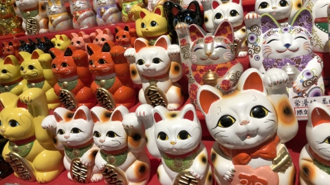 舉左右手不同意思！放哪裡效果最好？ 4個招財貓冷知識