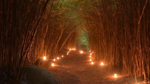 拍攝「港版嵐山竹林」以真火做道具惹公憤 龍友稱用低溫蠟燭仍被網民轟自私