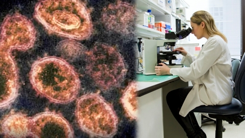 Omicron現新變異株 專家指新特性恐加快傳播速度