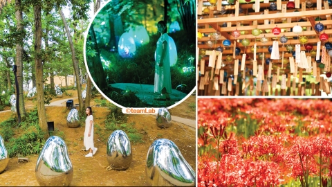 【日本出埠計劃】東京近郊避世遊 探訪埼玉縣大自然隱世景點好去處